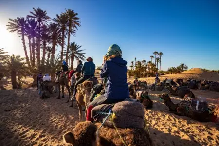 merzouga desert